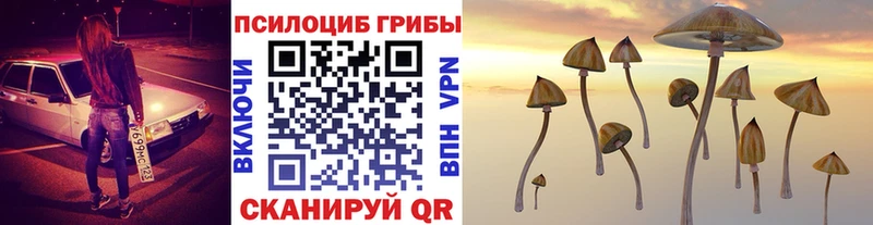 Псилоцибиновые грибы Psilocybe  Норильск 